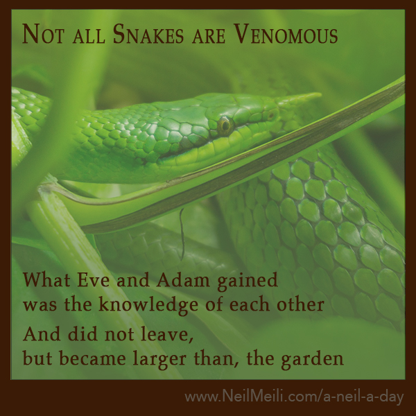 Not All Snakes Are Venomous – Neil Meili