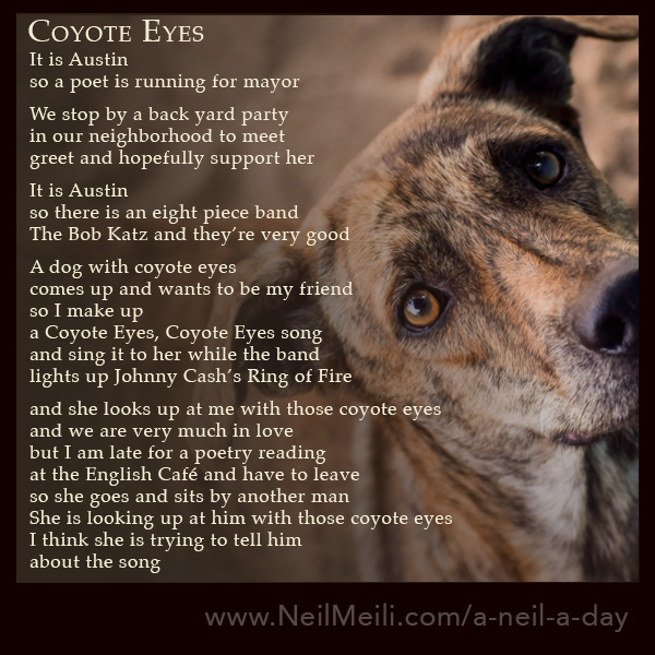 Coyote Eyes – Neil Meili