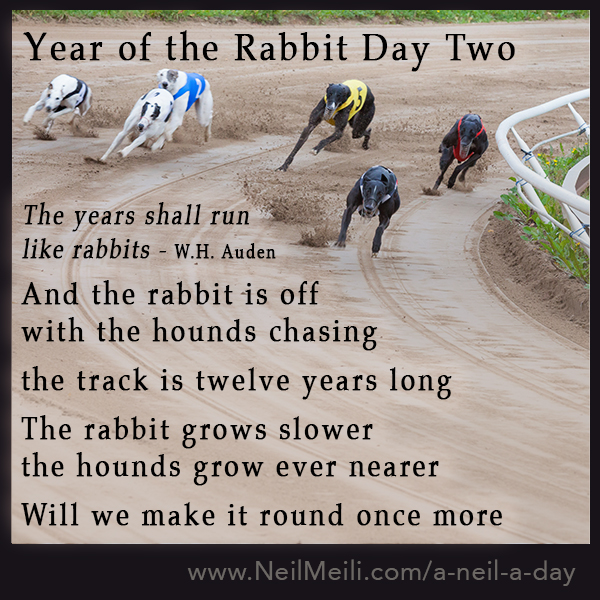 Year of the Rabbit Day Two – Neil Meili